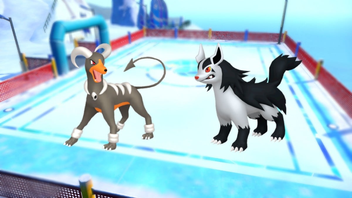 Pokemon Go Gamers Debate Which Darkish Canine Is The Greatest Boy
